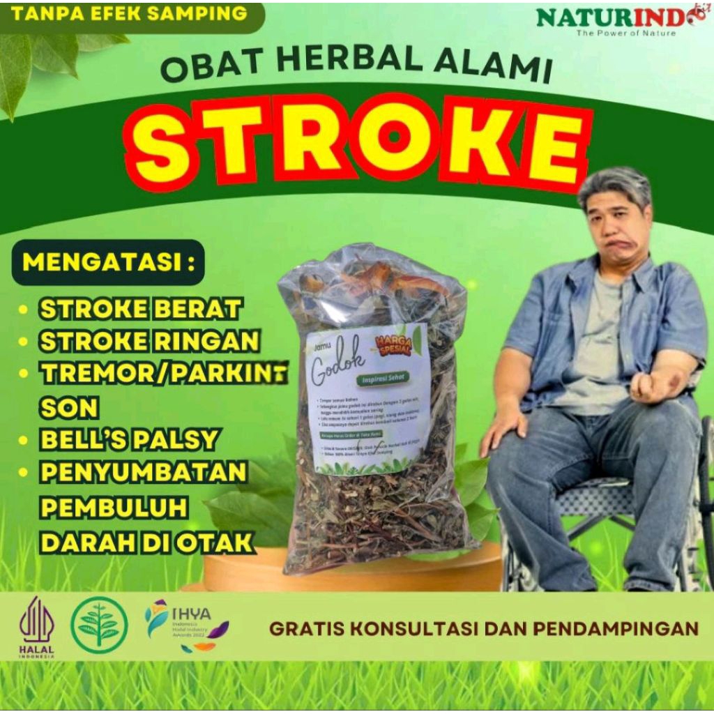 

stroke jamu godok stroke