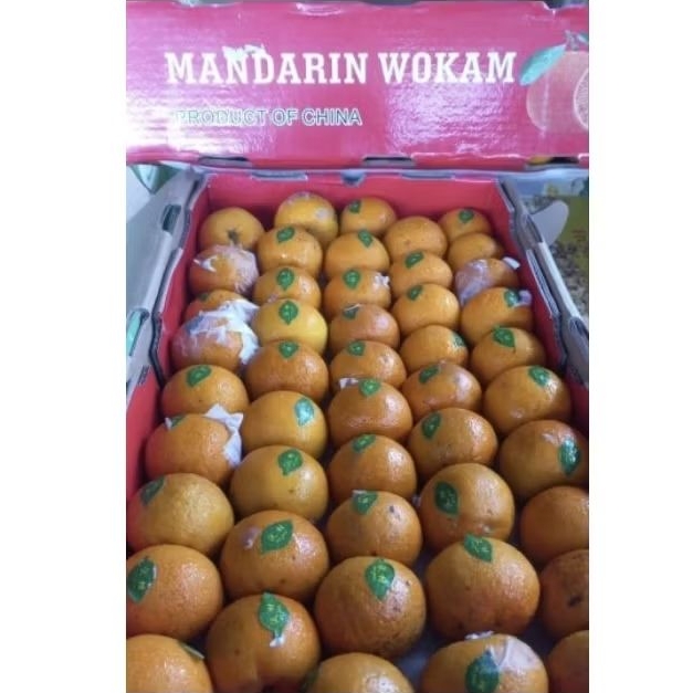 

Jeruk Wokam Mandarin Manis 1 dus 9,5 kg per box Fresh Jogja