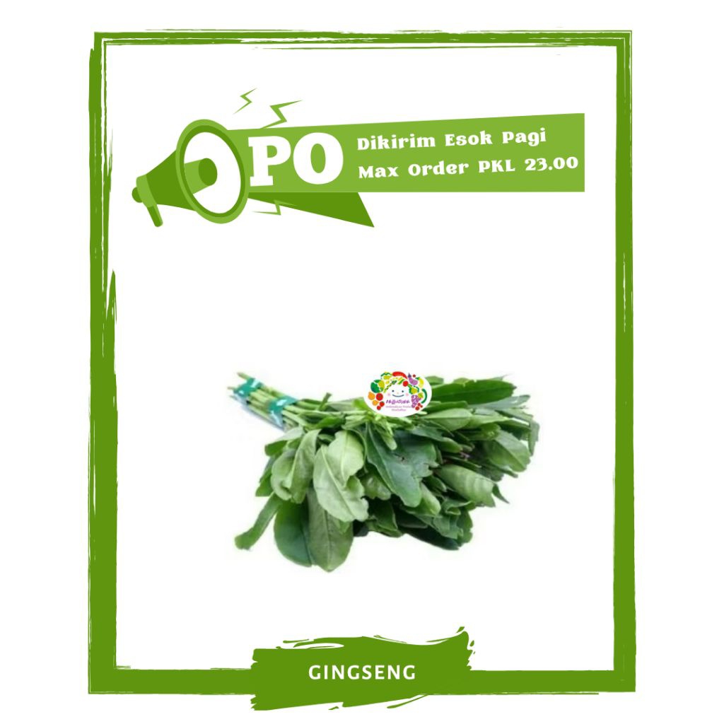 

Daun Gingseng / Sayur Sayuran Segar PO Mallahrizwa