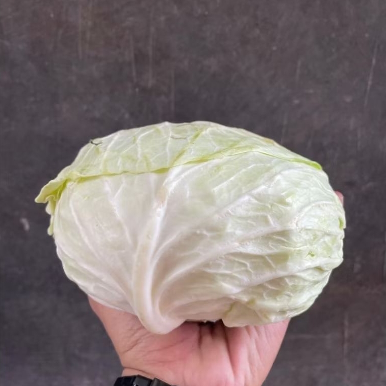 

KIRIM INSTAN kembang kol 500g 1kg