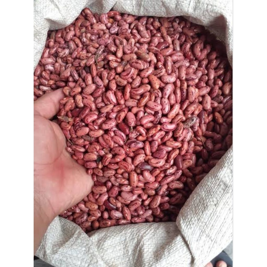 

kacang merah lokal olahan petani