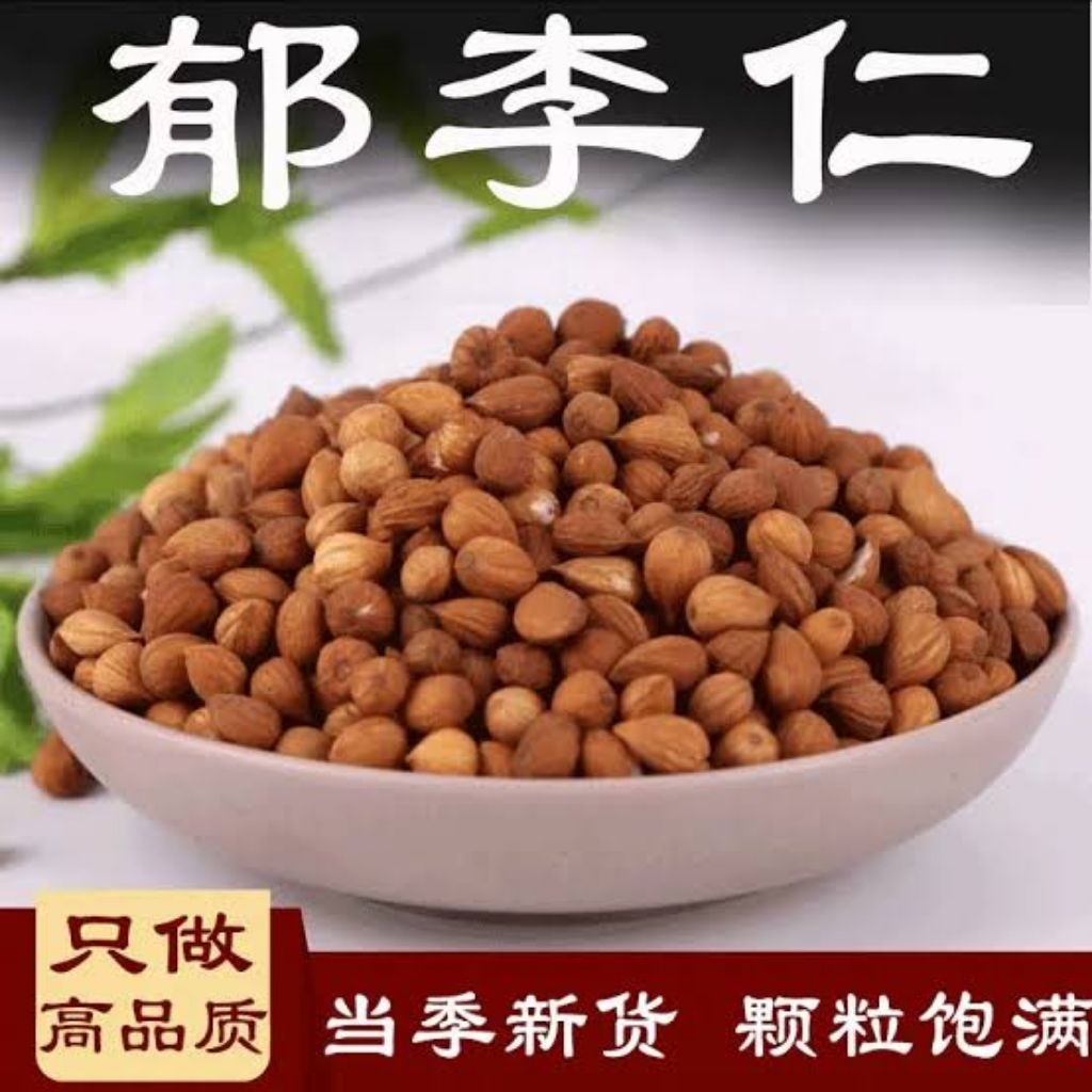 

100gr Herbal Yu Li Ren / Dwarf Flowering Cherry Seed / Semen Pruni / Pruni Semen Premium Grade