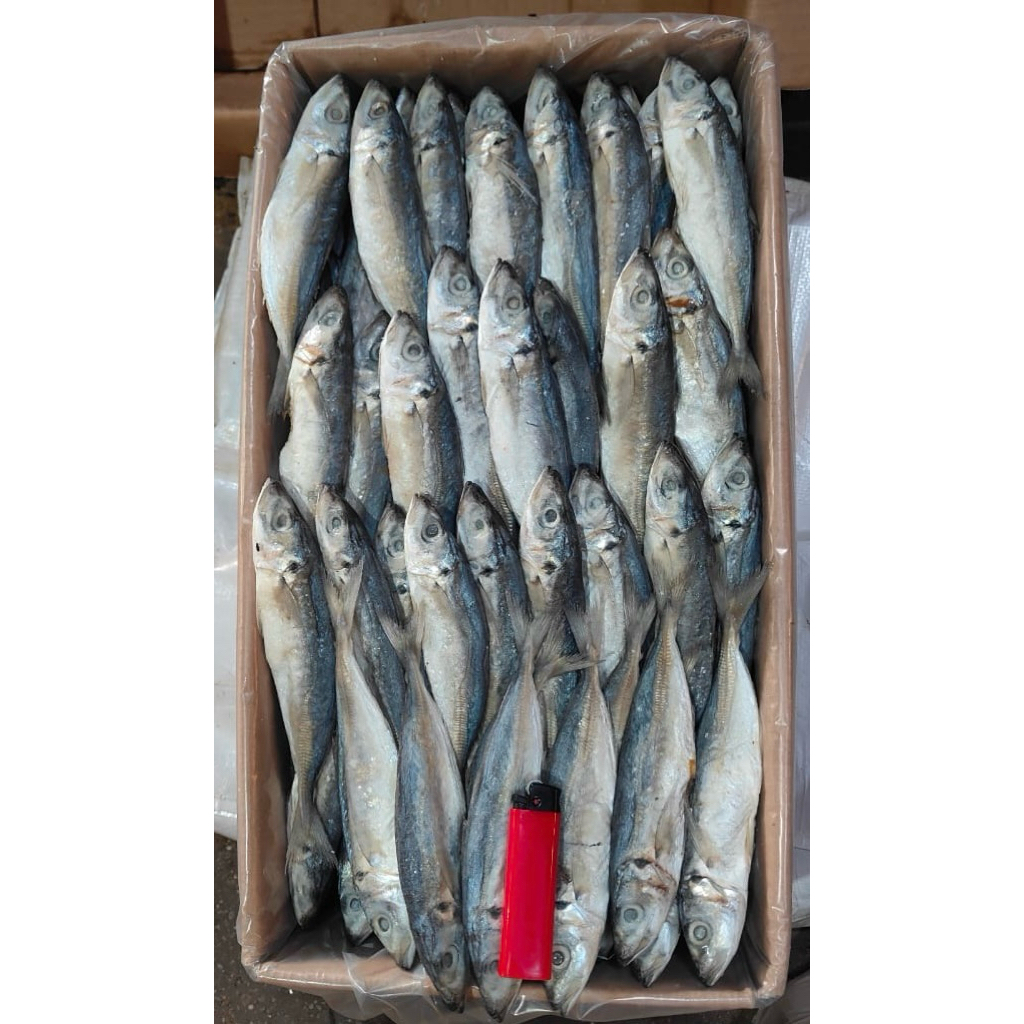 

IKAN ASIN LAYANG SUPER IKAN LAYANG KERING