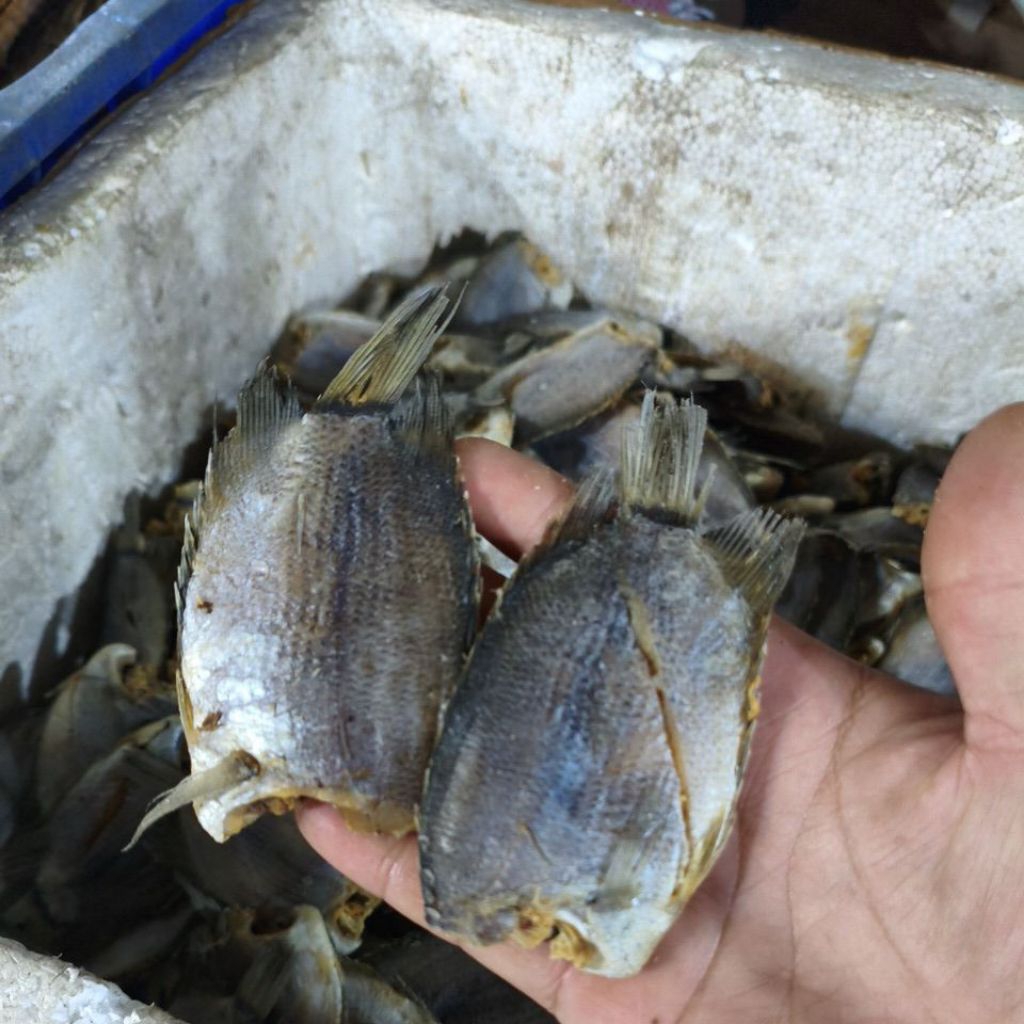 

ikan asin biawan Samarinda 500gram