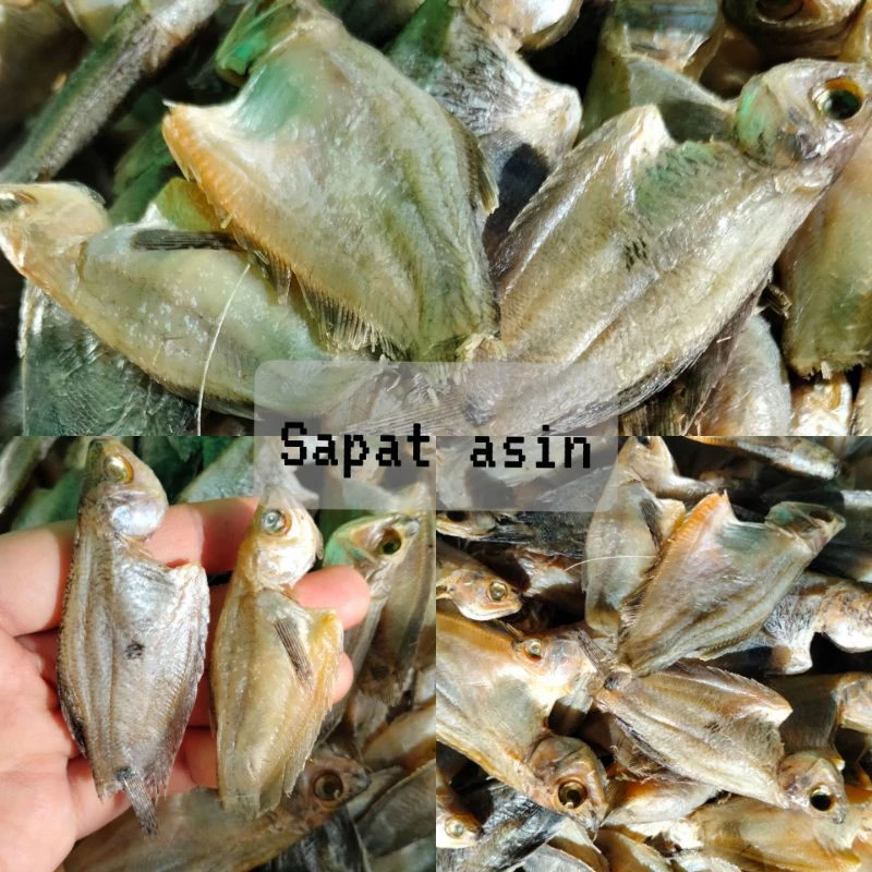 

Ikan Asin Sepat Kering – Gurih, Wangi, Cocok untuk Stok Dapur