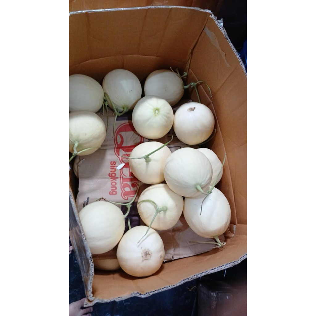 

Melon Sweet Honey 1 bj