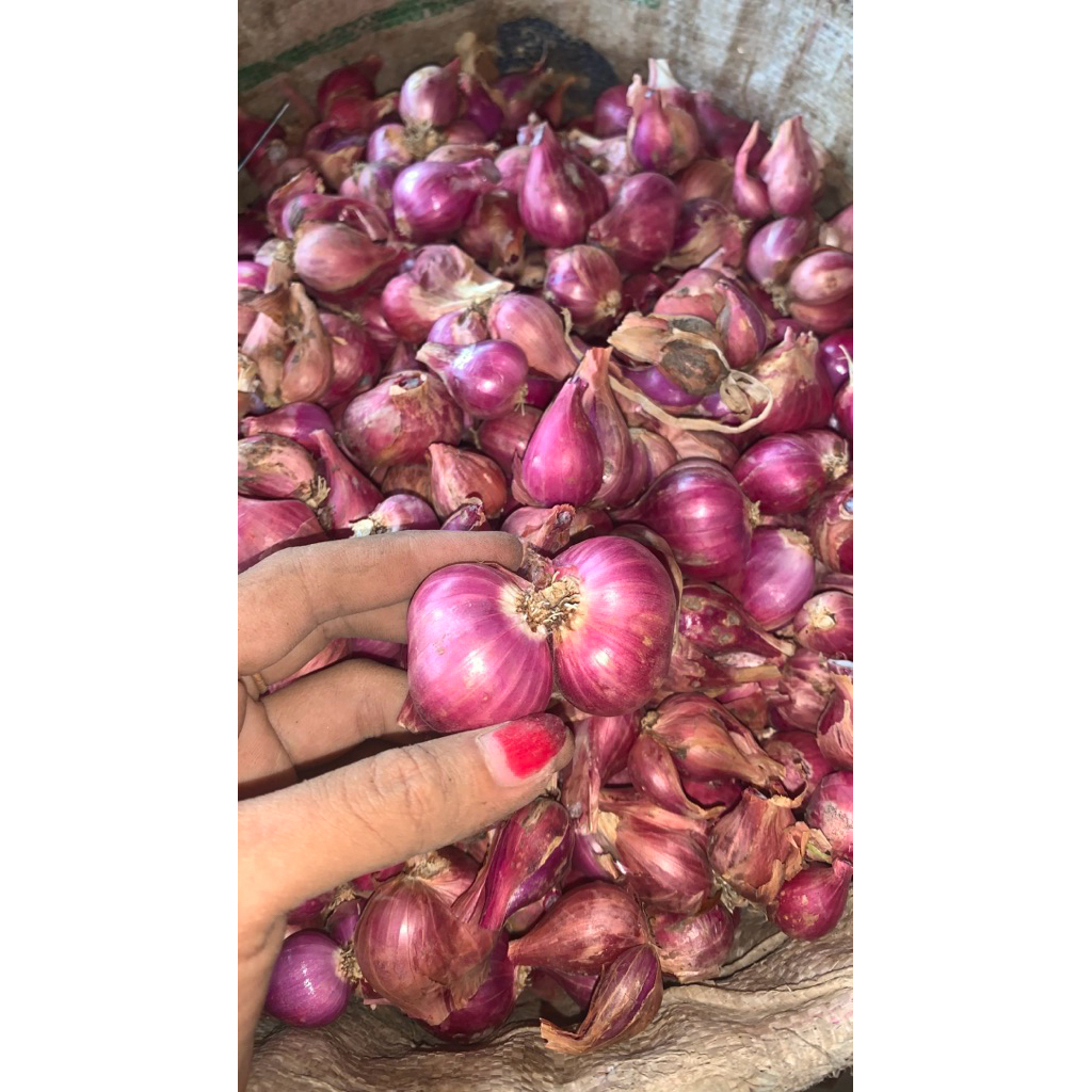 

Bawang asli Merah Jatim Prob 1kg