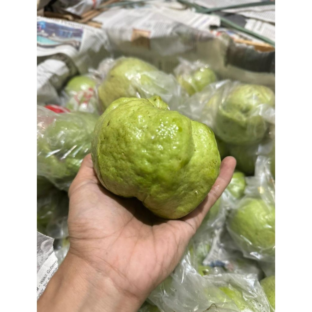 

jambu kristal netto 1000gr