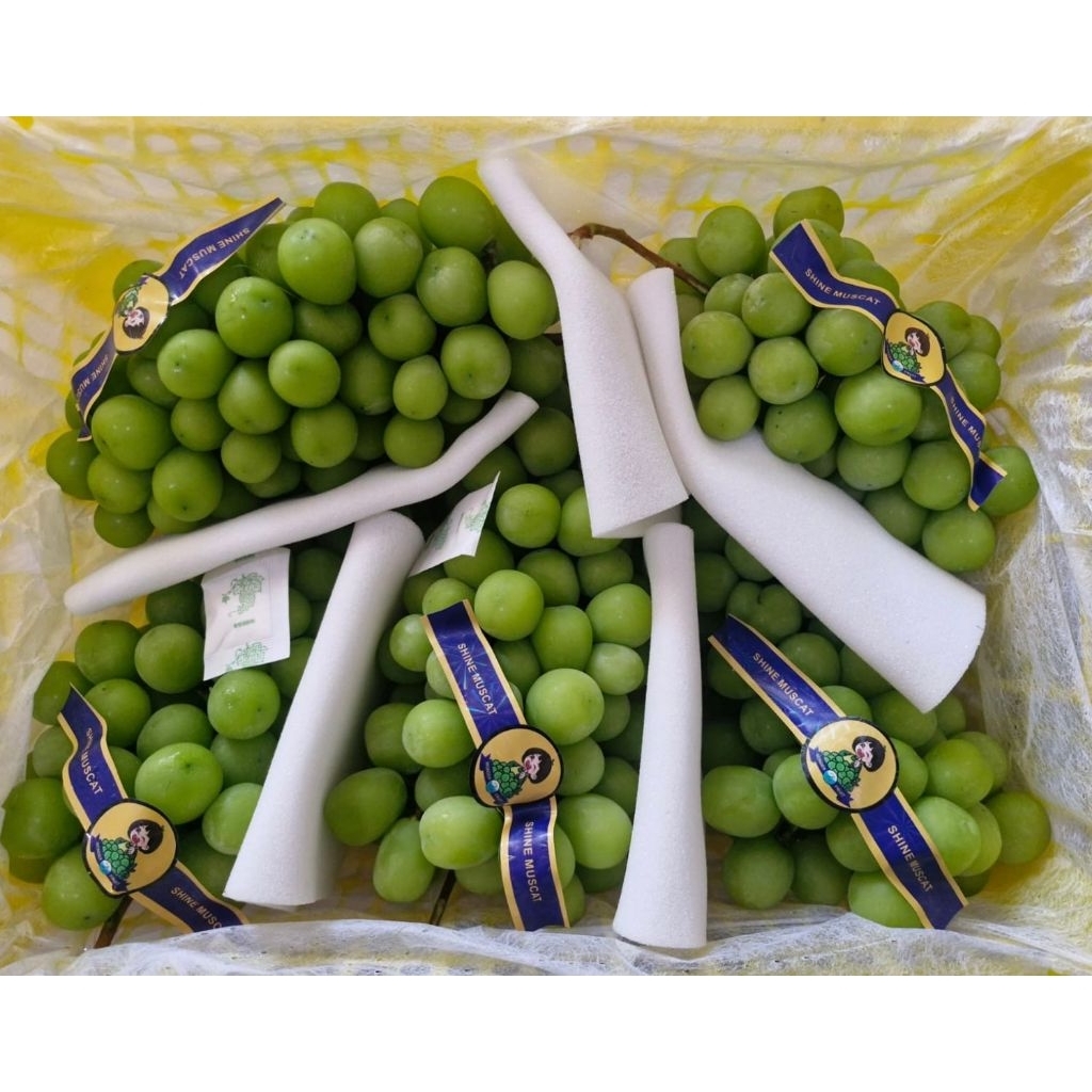 

Anggur hijau shine muscat import 1kg maniss