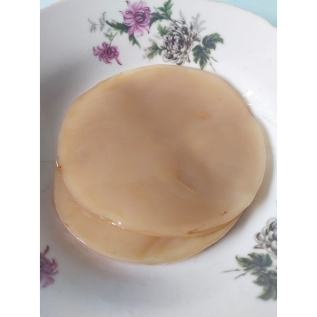 

kombucha original/combucha/kombucha scoby/scooby