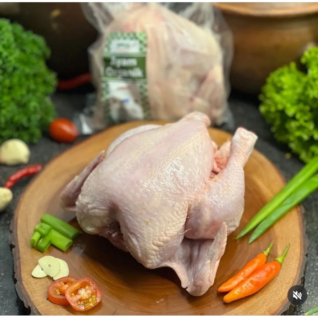 

AYAM UTUH ORGANIK