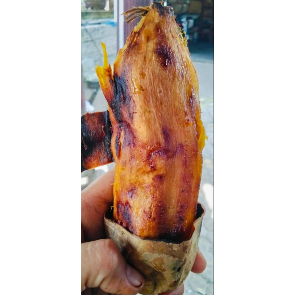 

Ubi madu Cilembu Mateng oven/bakar