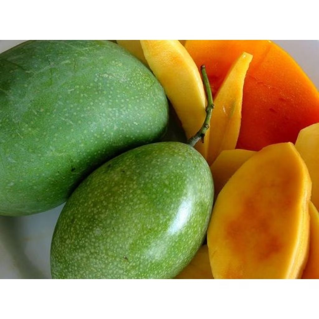 

MANGGA MANALAGI MADU 500 Gr