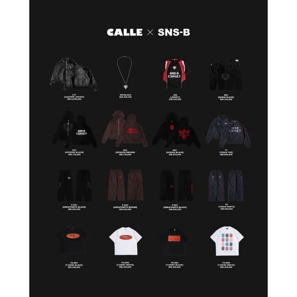 CALLE X SNSB
