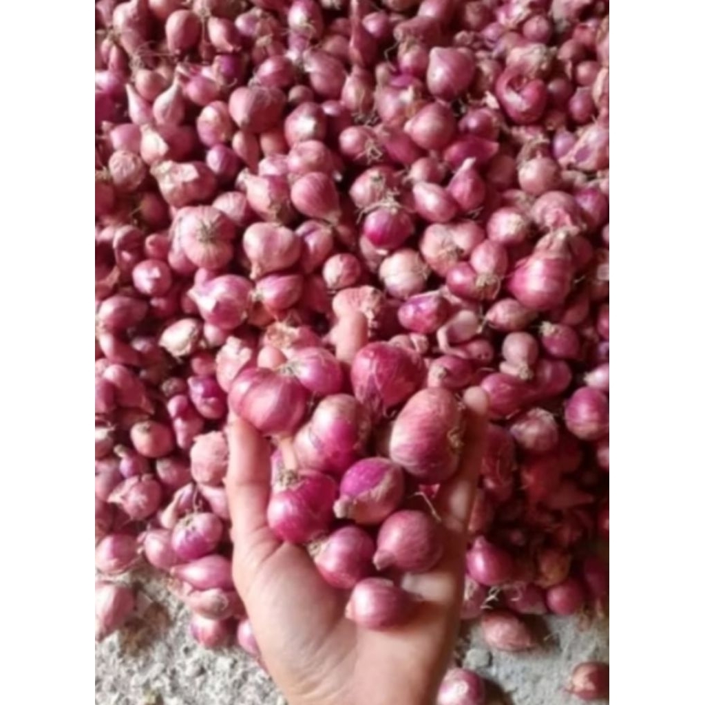 bawang merah lokal 1 kg