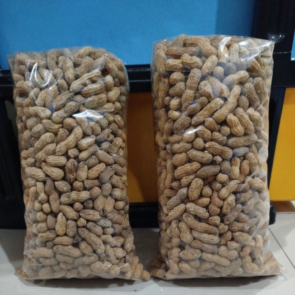 

Kacang Kulit Sangrai 1kg
