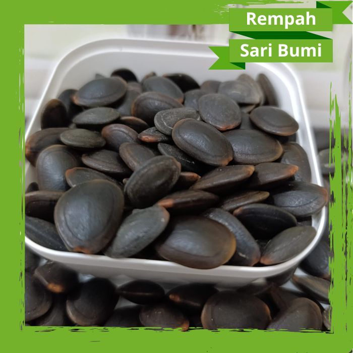 

Kedawung Biji Kedaung Asli Alami