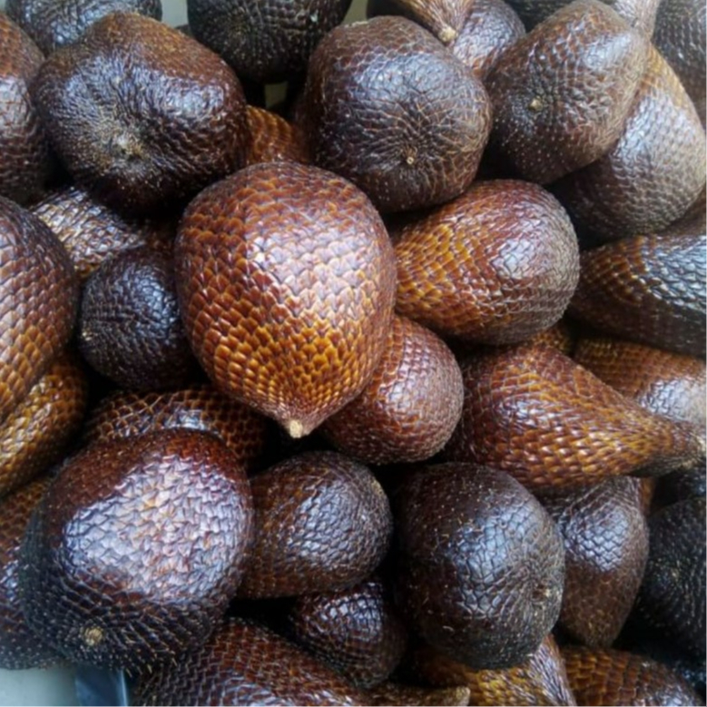 

SALAK PONDOH PREMIUM 1 KG