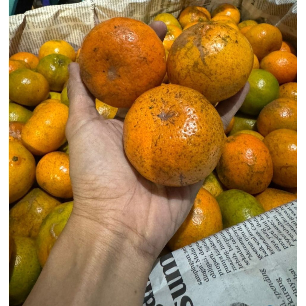 

jeruk fresh netto 1000gr