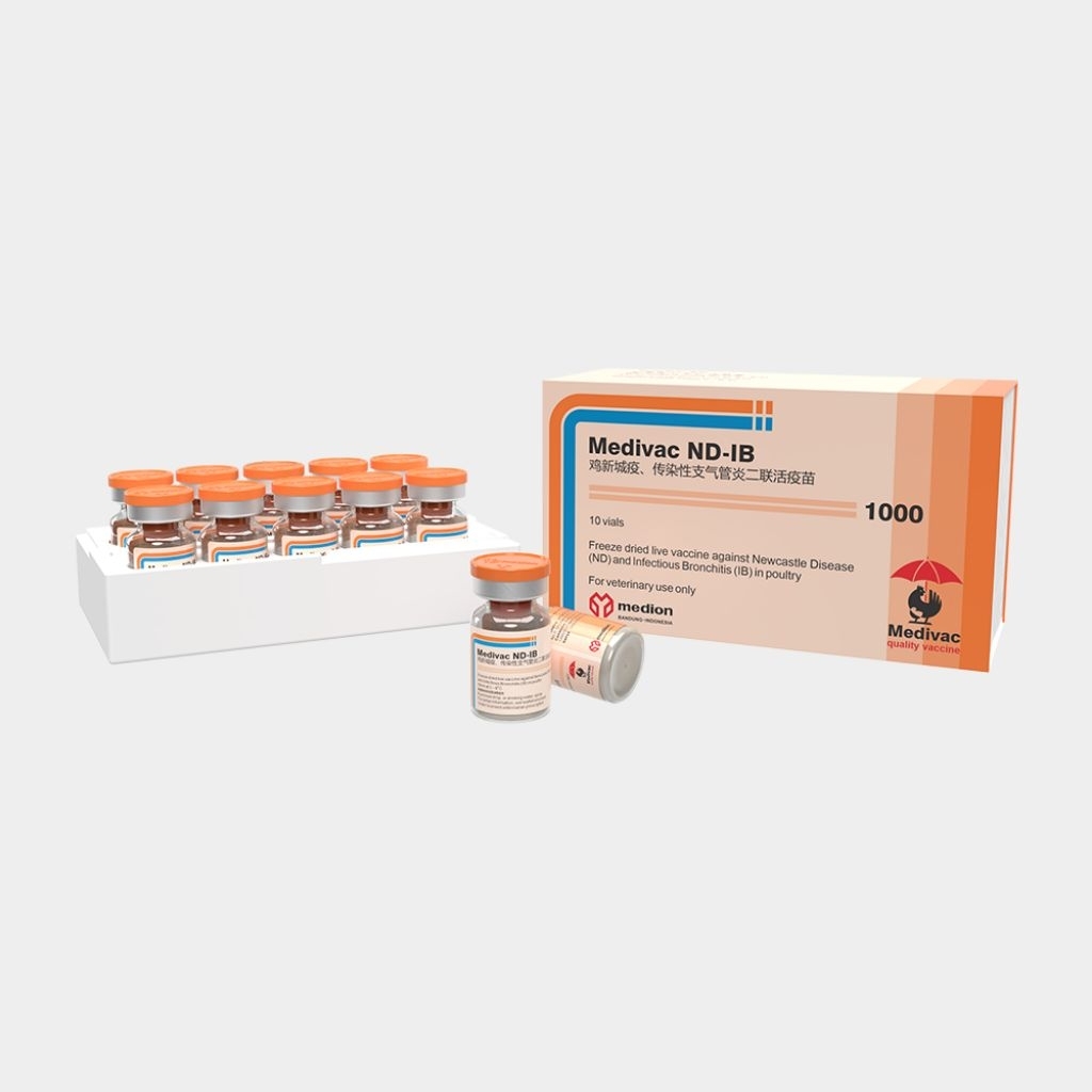 Vaksin Ayam Medivac ND IB untuk 1000 ekor ayam Pencegahan Tetelo dan Infeksi Saluran Pernafasan