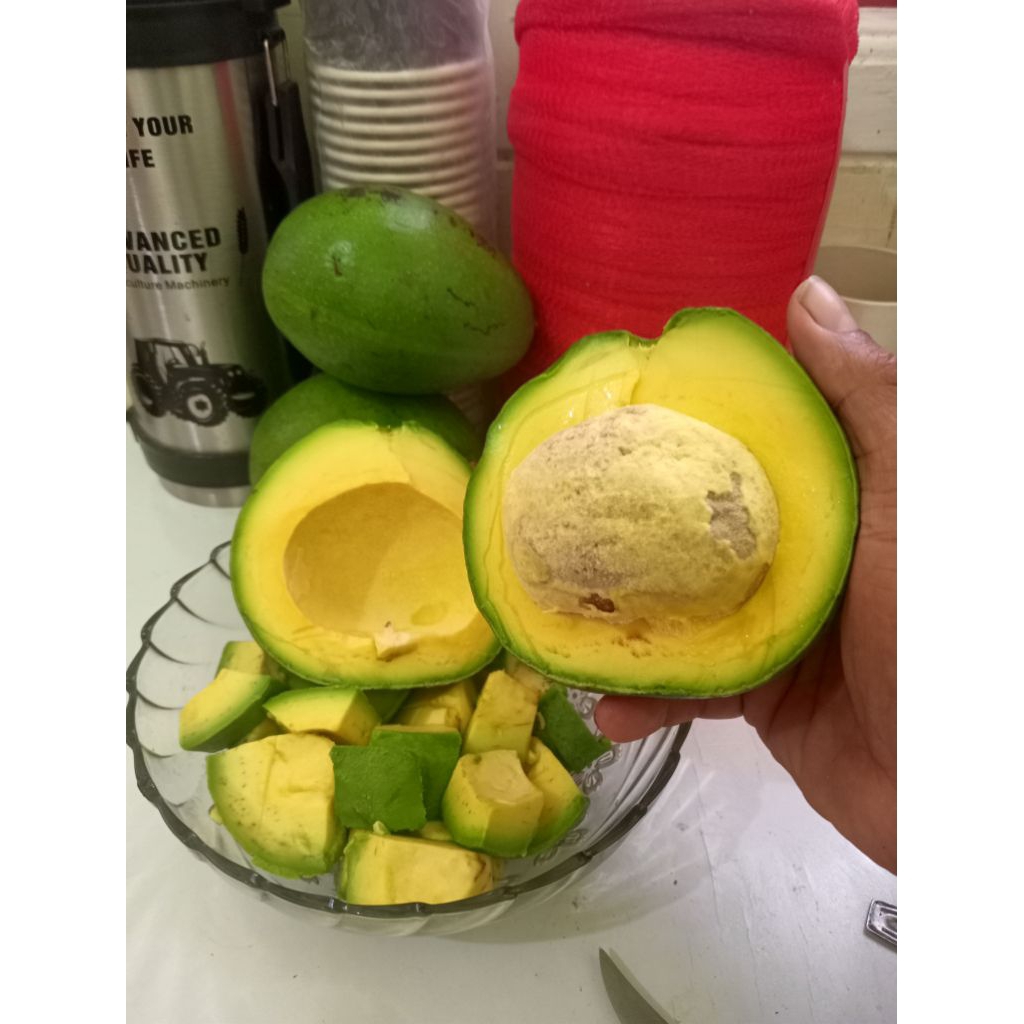 

Alpukat Miki Cipedak Depok Jumbo isi 2 - 3 Buah / Kg