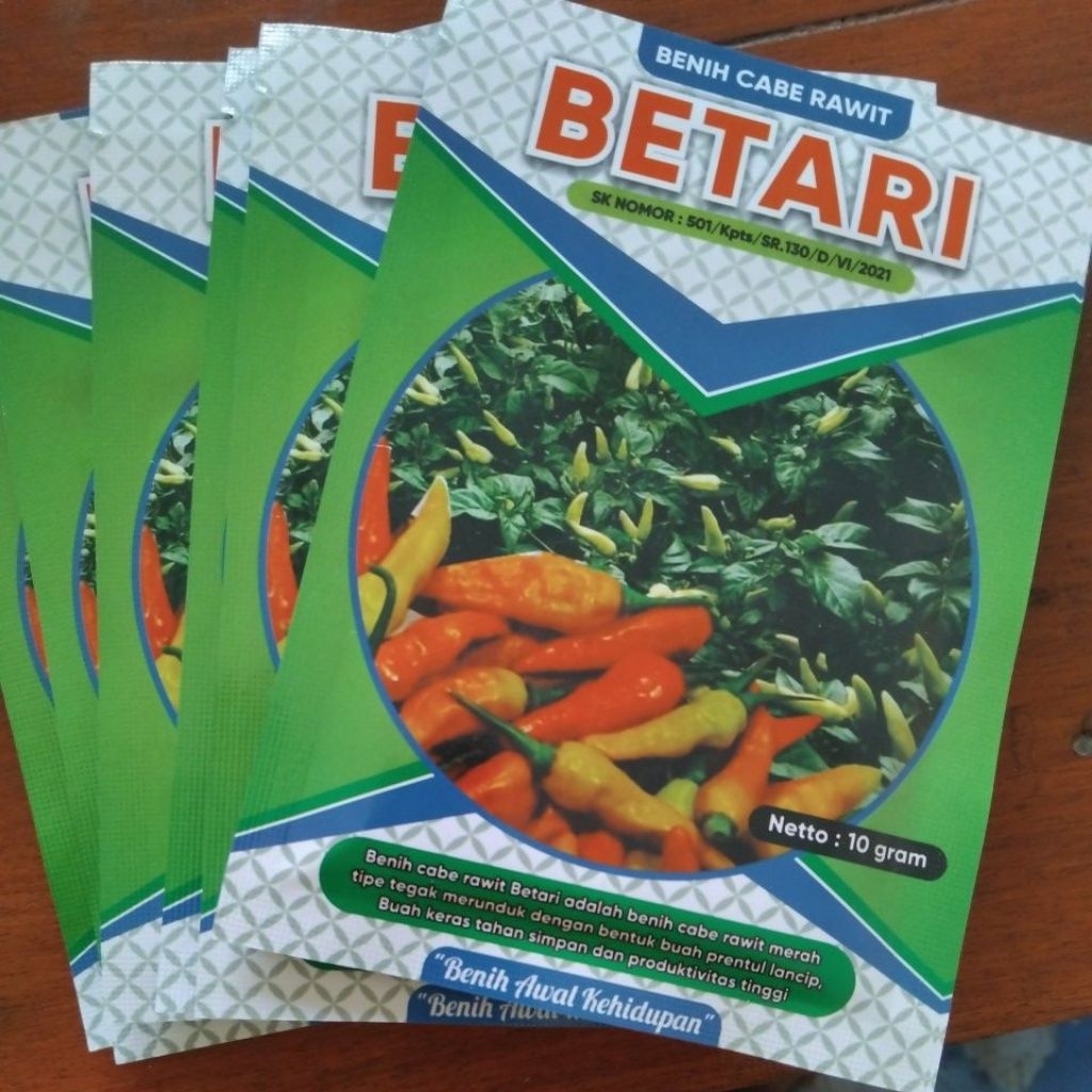 

cabe tipe tegak tahan virus BETARI