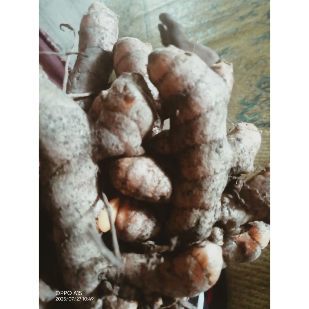 

kunyit/ kunir Oren bumbu masak 500gram