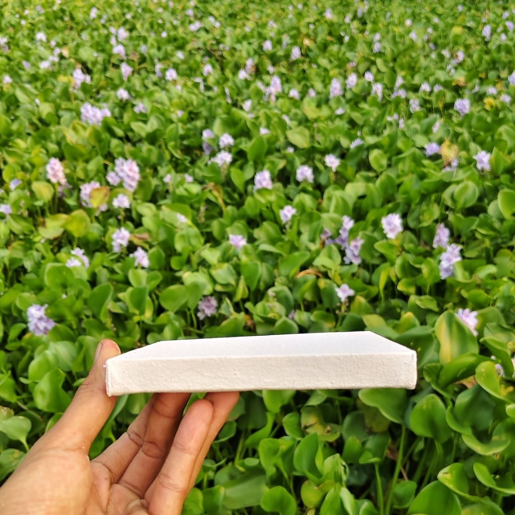 

kanvas lukis basic persegi cocok buat belajar lukis ukuran 10x10