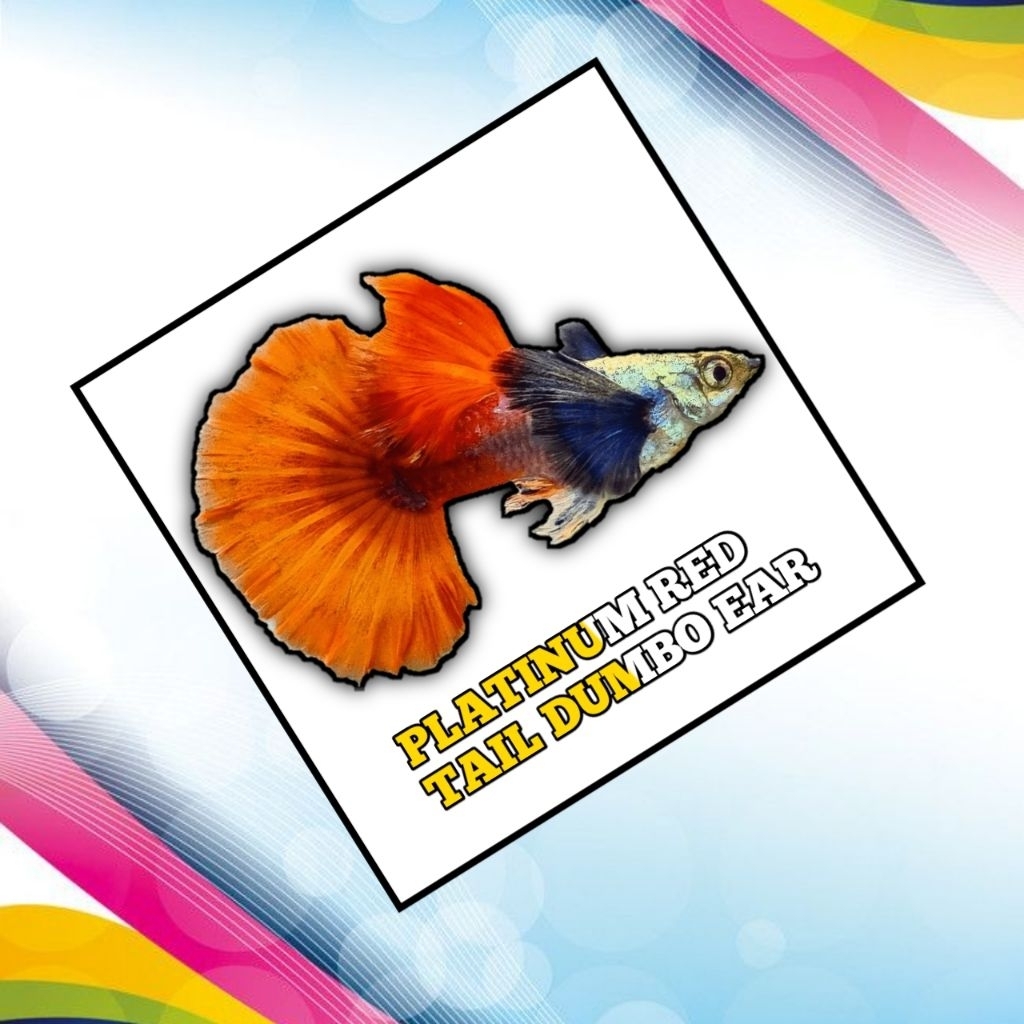 

STICKER KEKINIAN PRTDE