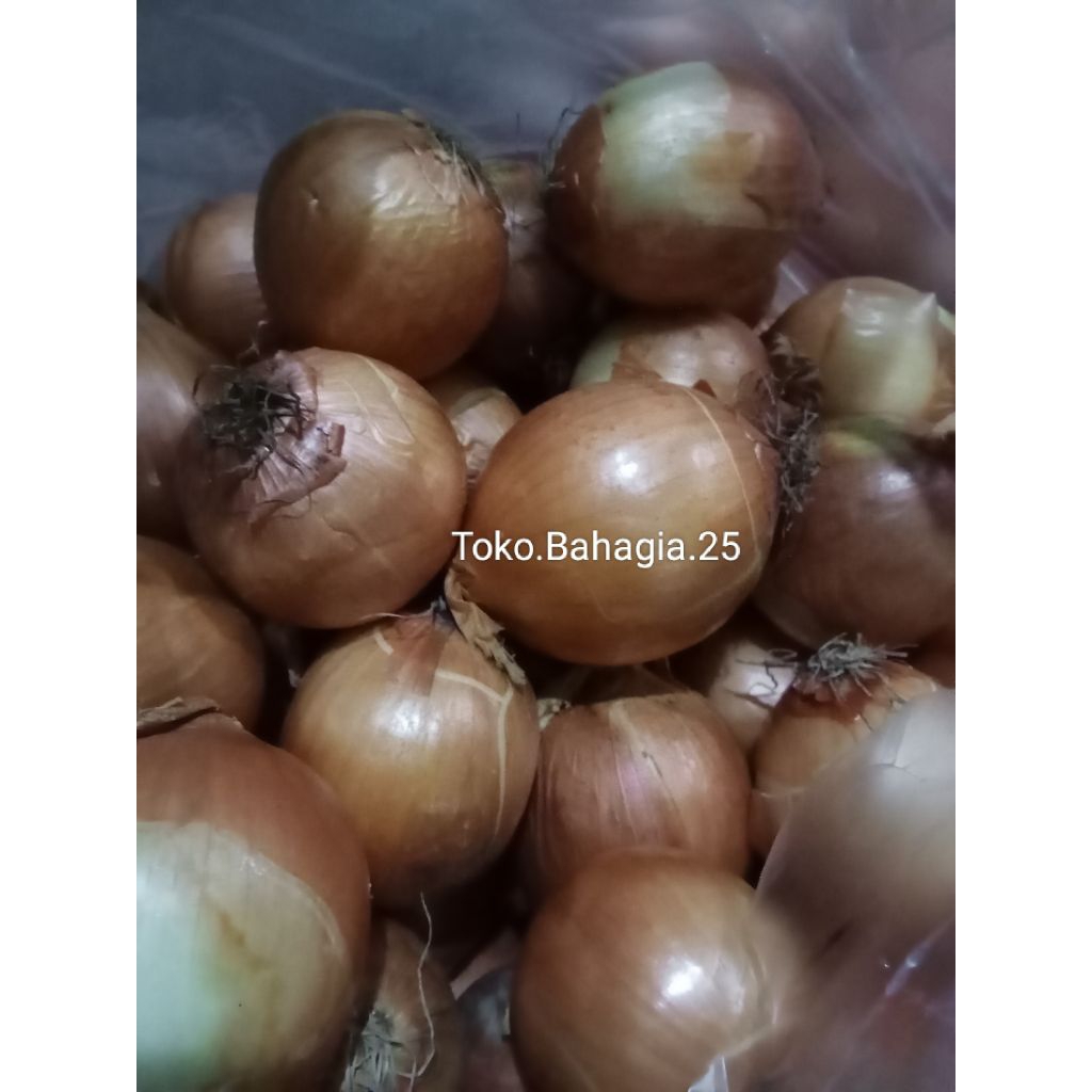 

BAWANG BOMBAI Fresh/Murah/Berkualitas