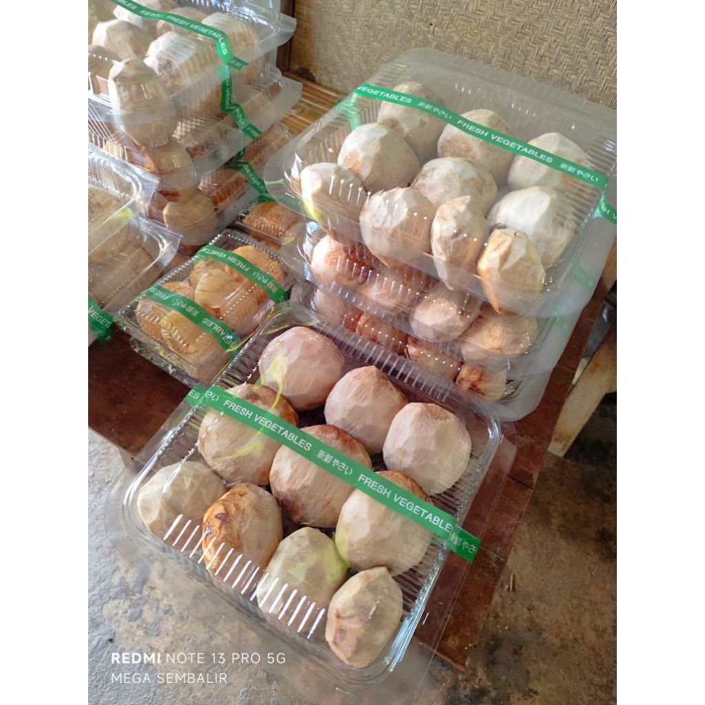 

Buah Lontar Kupas Batok 1 Pack Isi 10 (Bisa kirim Luar Jawa) - BACA DESKRIPSI