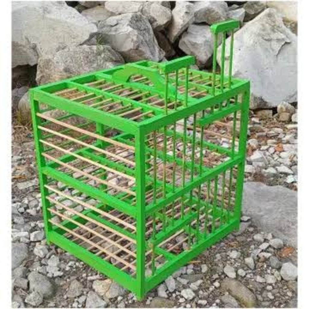 KANDANG BURUNG DARA 2 PINTU