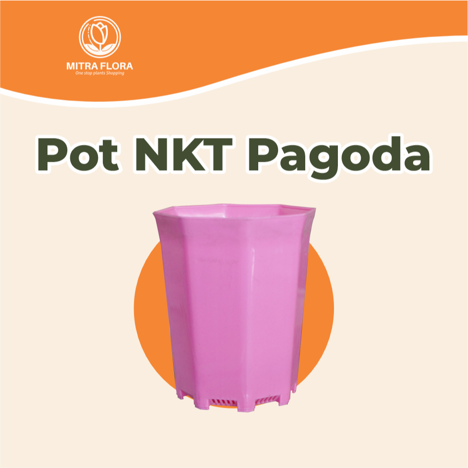 Pot NKT Pagoda Mini Size 10cm Paket 5 Free 1 Plastik Unik Tanaman Hias Sukulen Kaktus
