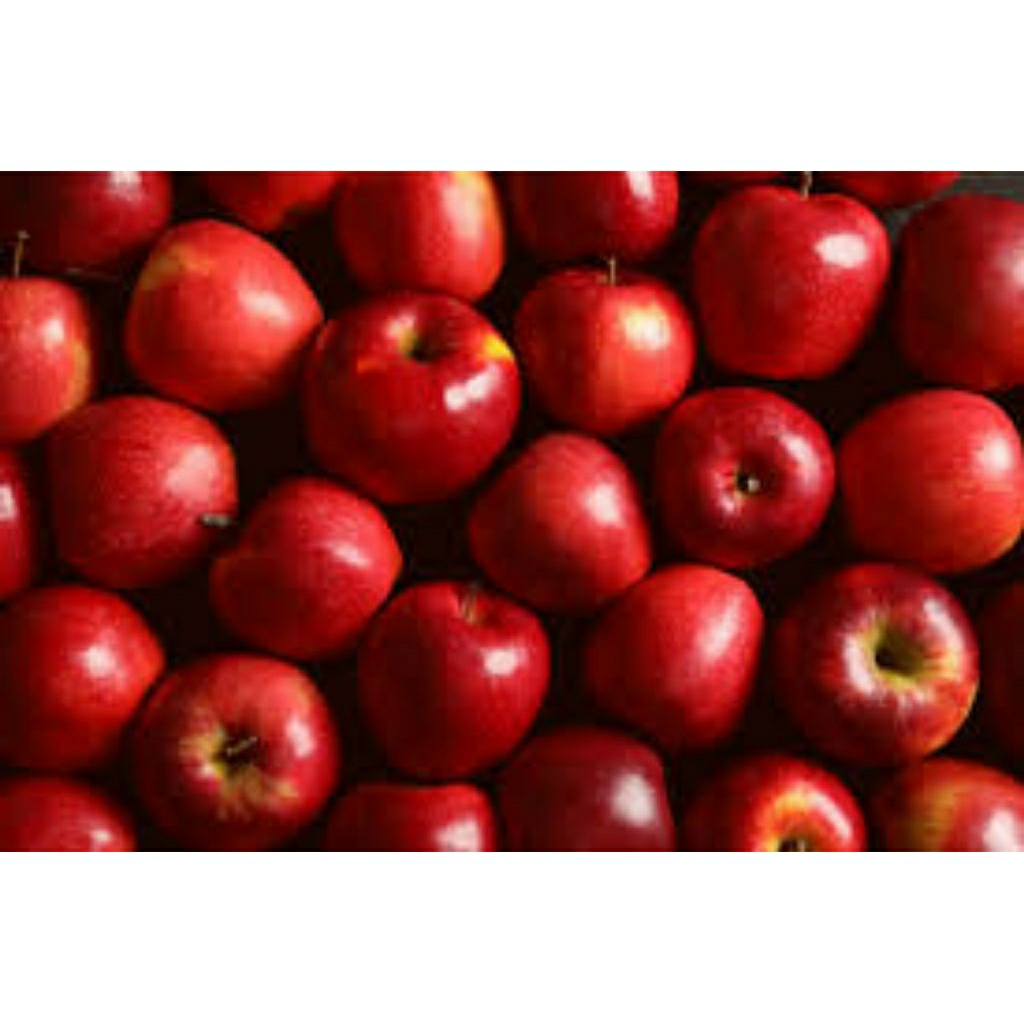 

apel merah buah segar dan higienis