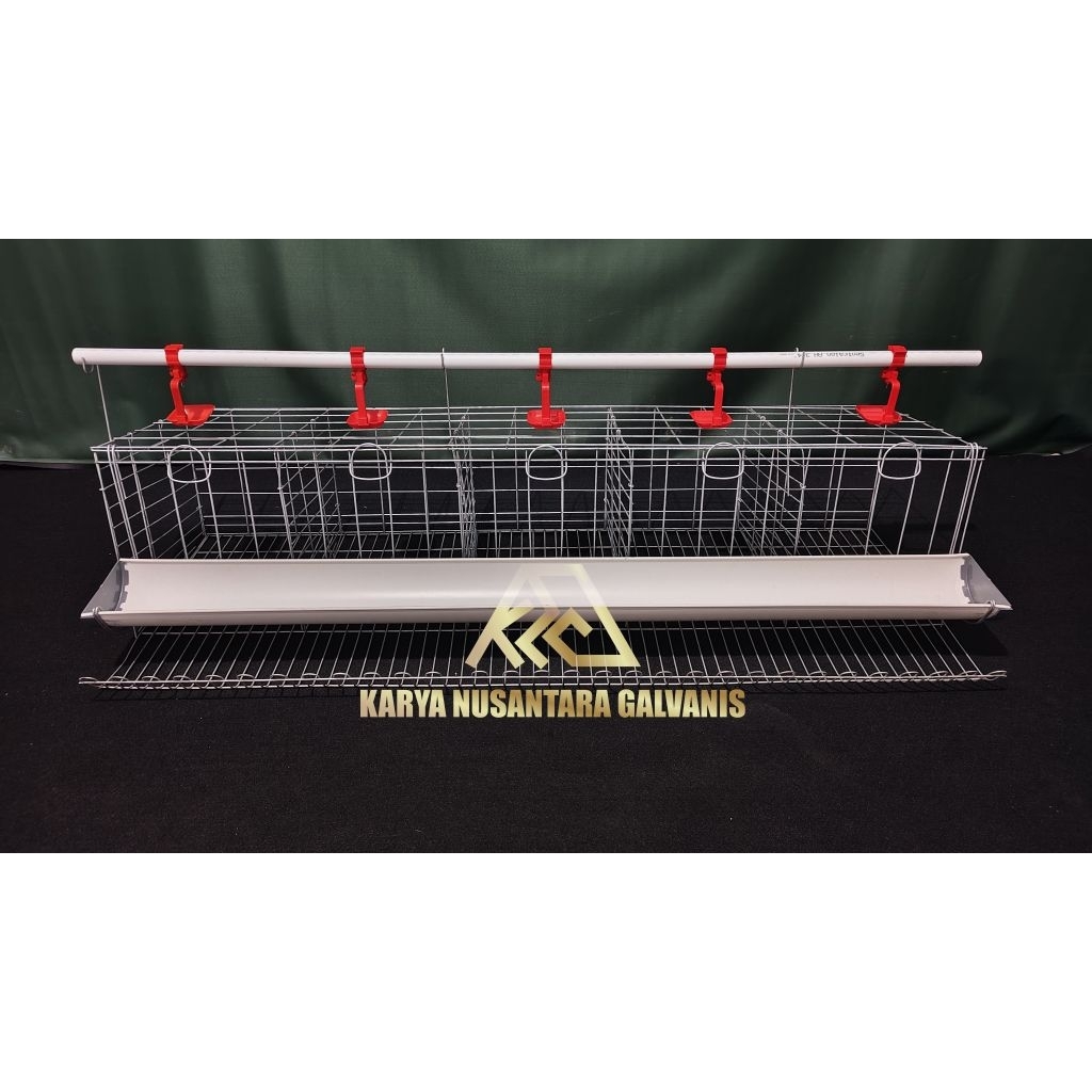 GALVANIS  BATERAY KANDANG LAYER AYAM PETELUR PAKET LENGKAP 5 PINTU ISI 10 EKOR BATRAI