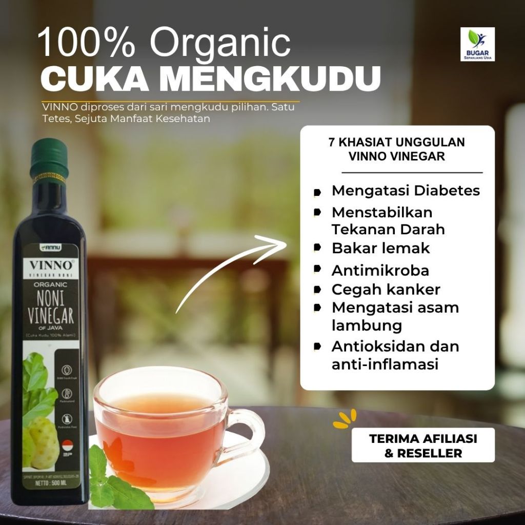 

VINNO - Cuka mengkudu organik, ampuh mengatasi asam lambung, asam urat, kolesterol dan untuk diet