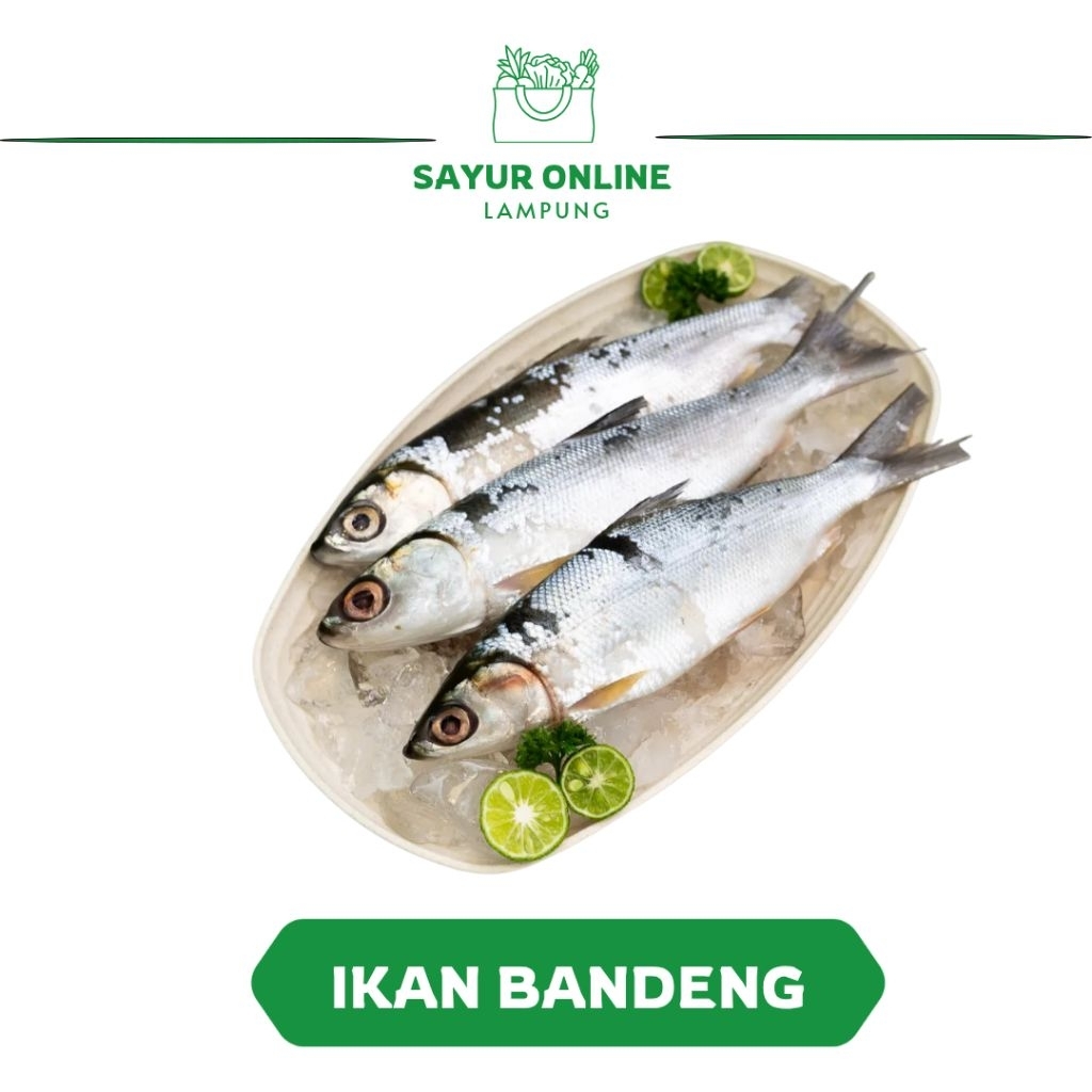 

Ikan Bandeng - 1/2 Kilo - Sayur Online Lampung