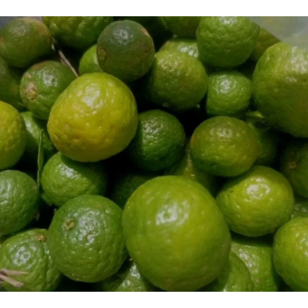 

(COD) 1kg jeruk limo/limau khas pangandaran