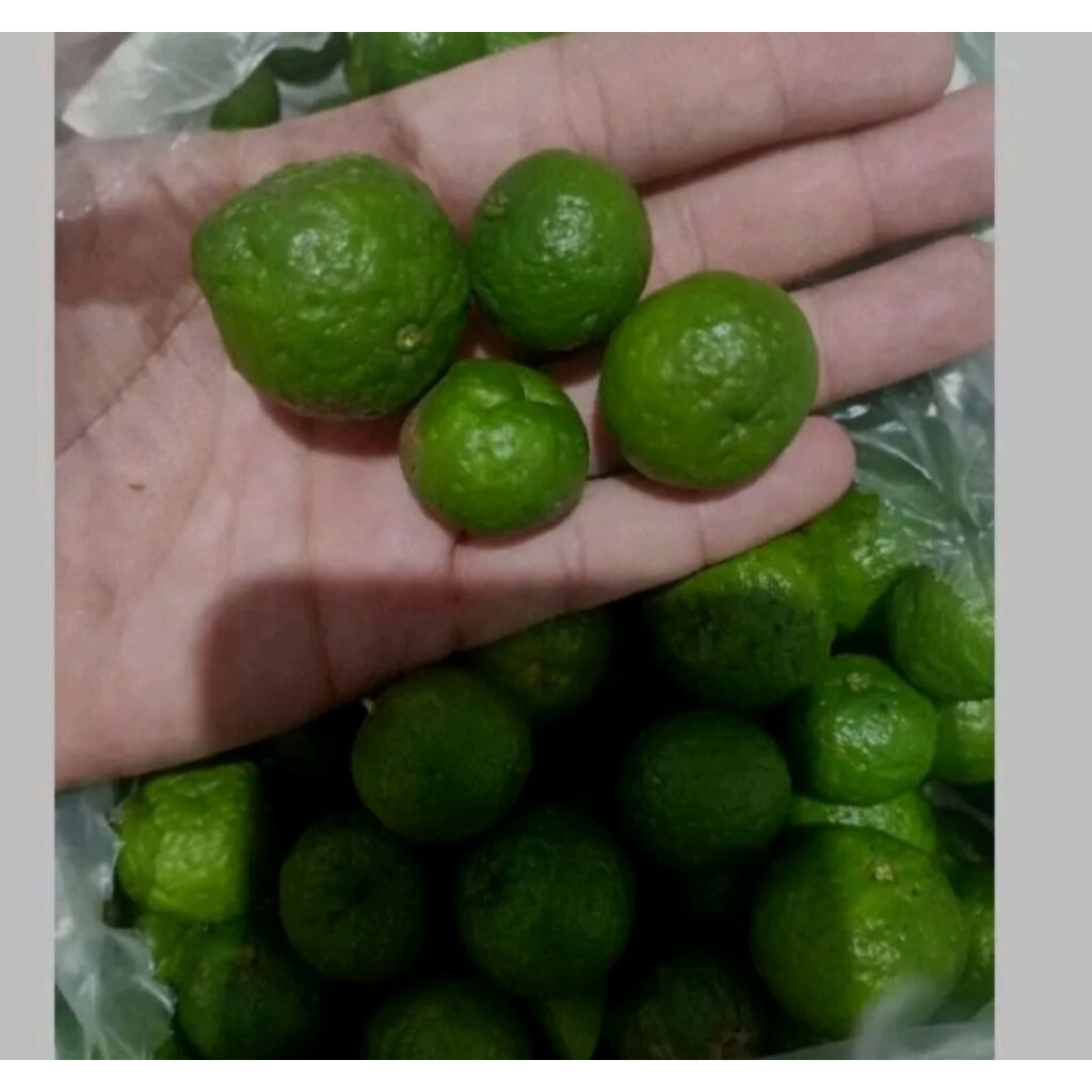 

Jeruk limau/limo/sambel fresh harga special per 1kg khas pangandaran