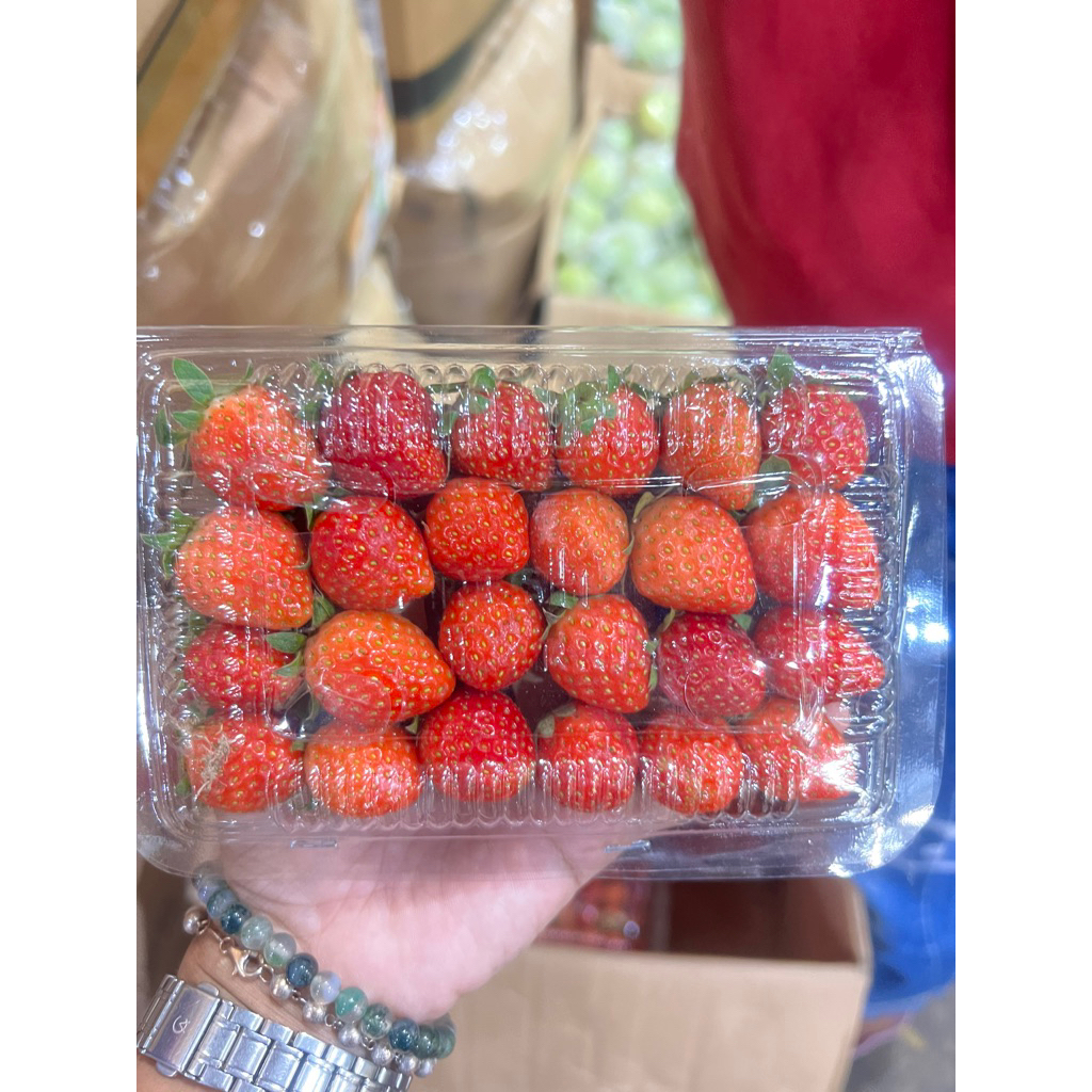 

BUAH STRAWBERY PER MIKA