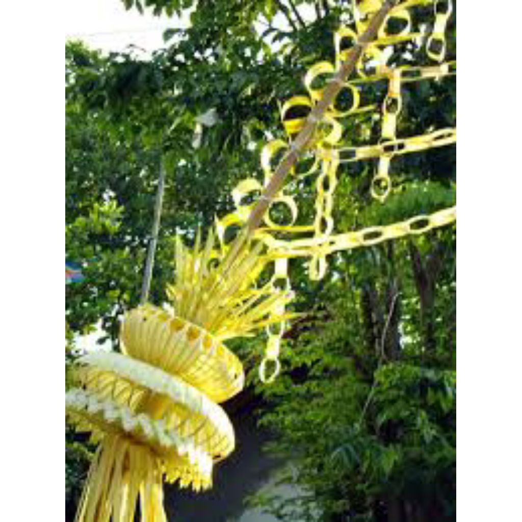 

daun janur kuning segar 100% per 20 lembar