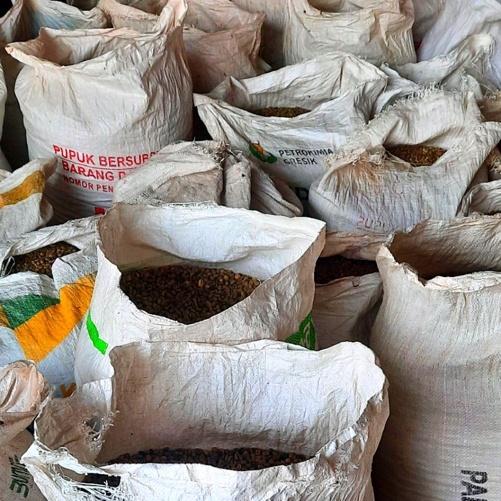 

Forcysn Kopi Robusta Premium Gunung Kawi Biji Kopi Tua Asli Pahit Kuat Cocok Tubruk, Espresso, V60