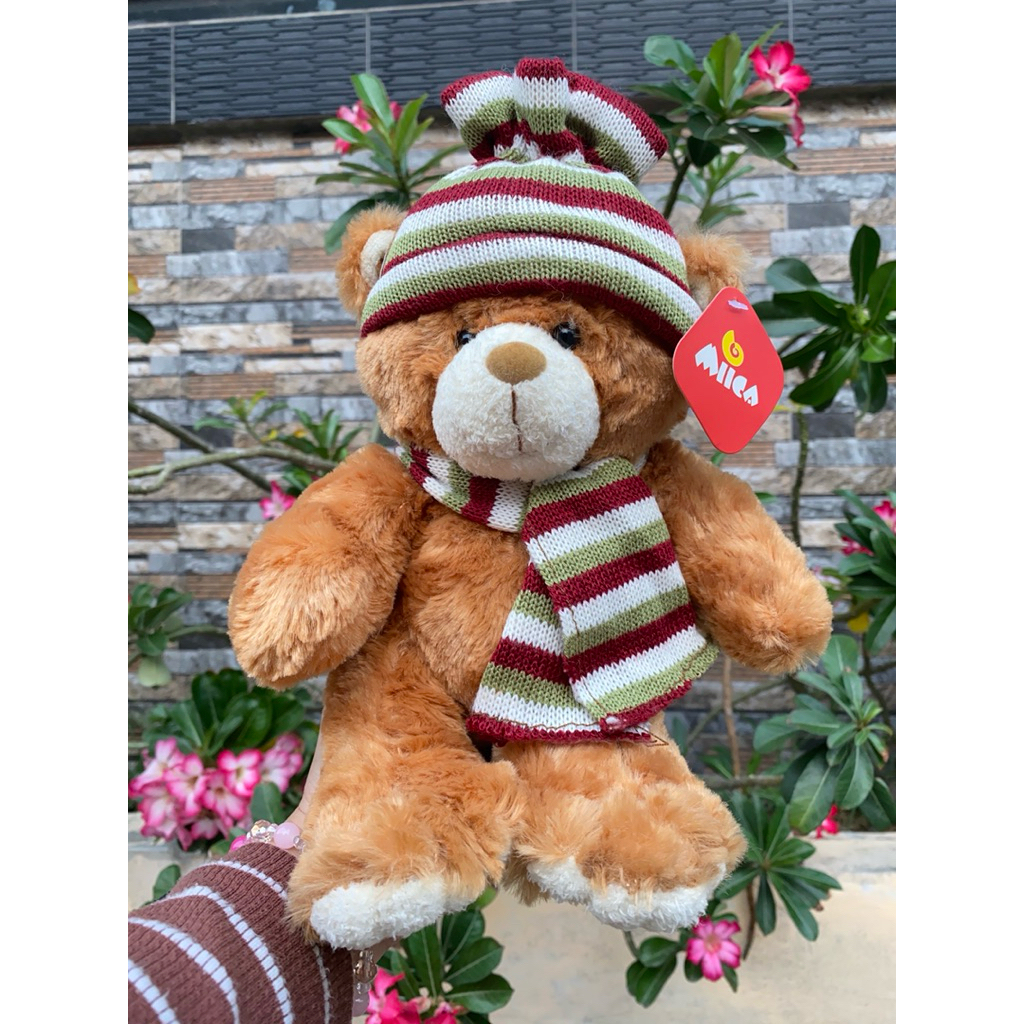 Boneka Teddy Bear With Hoodie