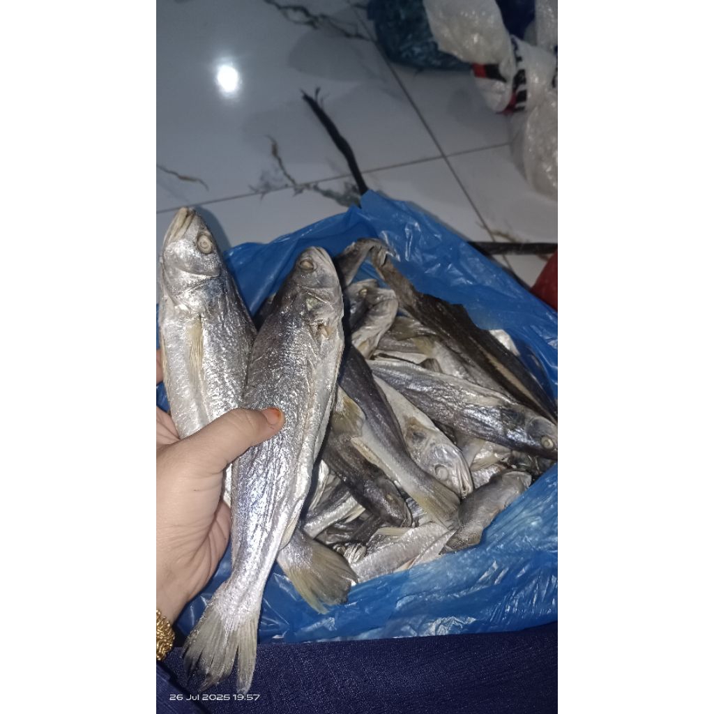 

ikan asin sangge