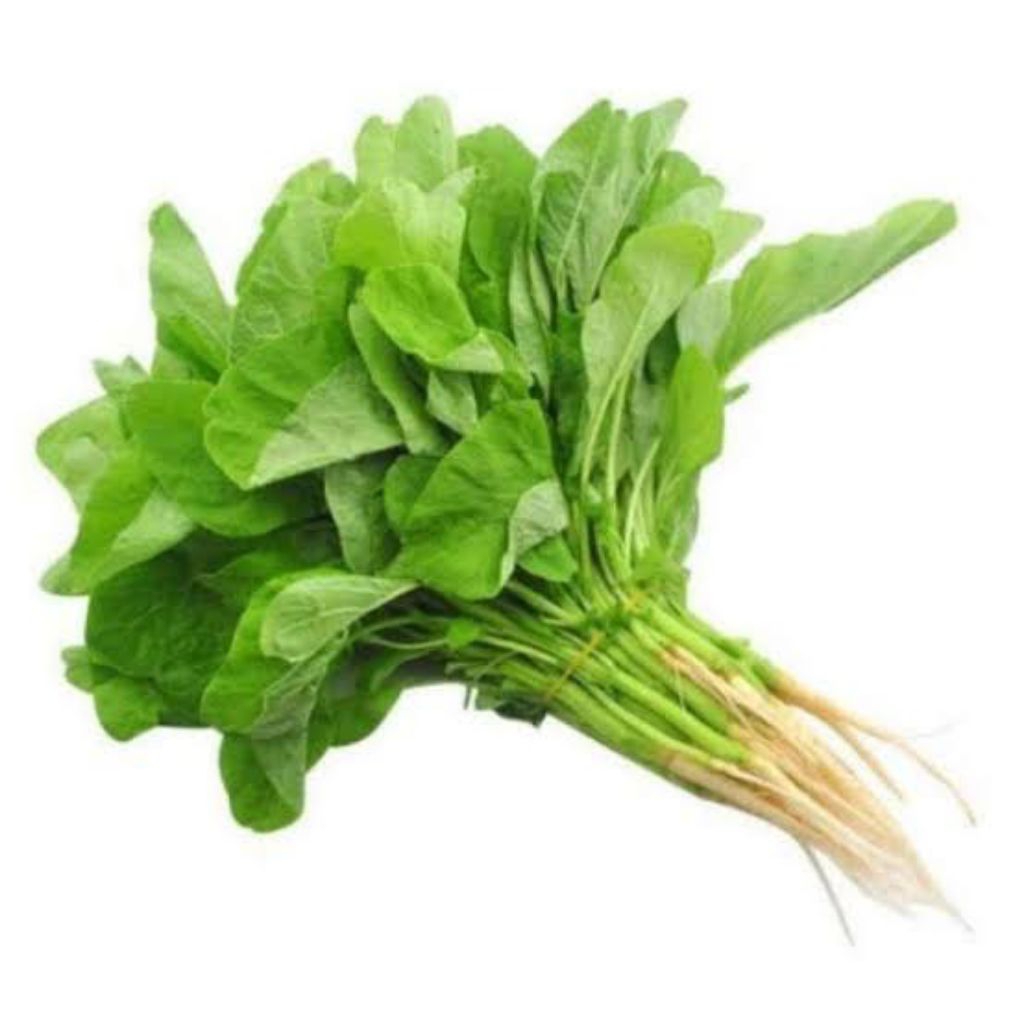 

Bayam Oyot Fresh 1 ikat Besar