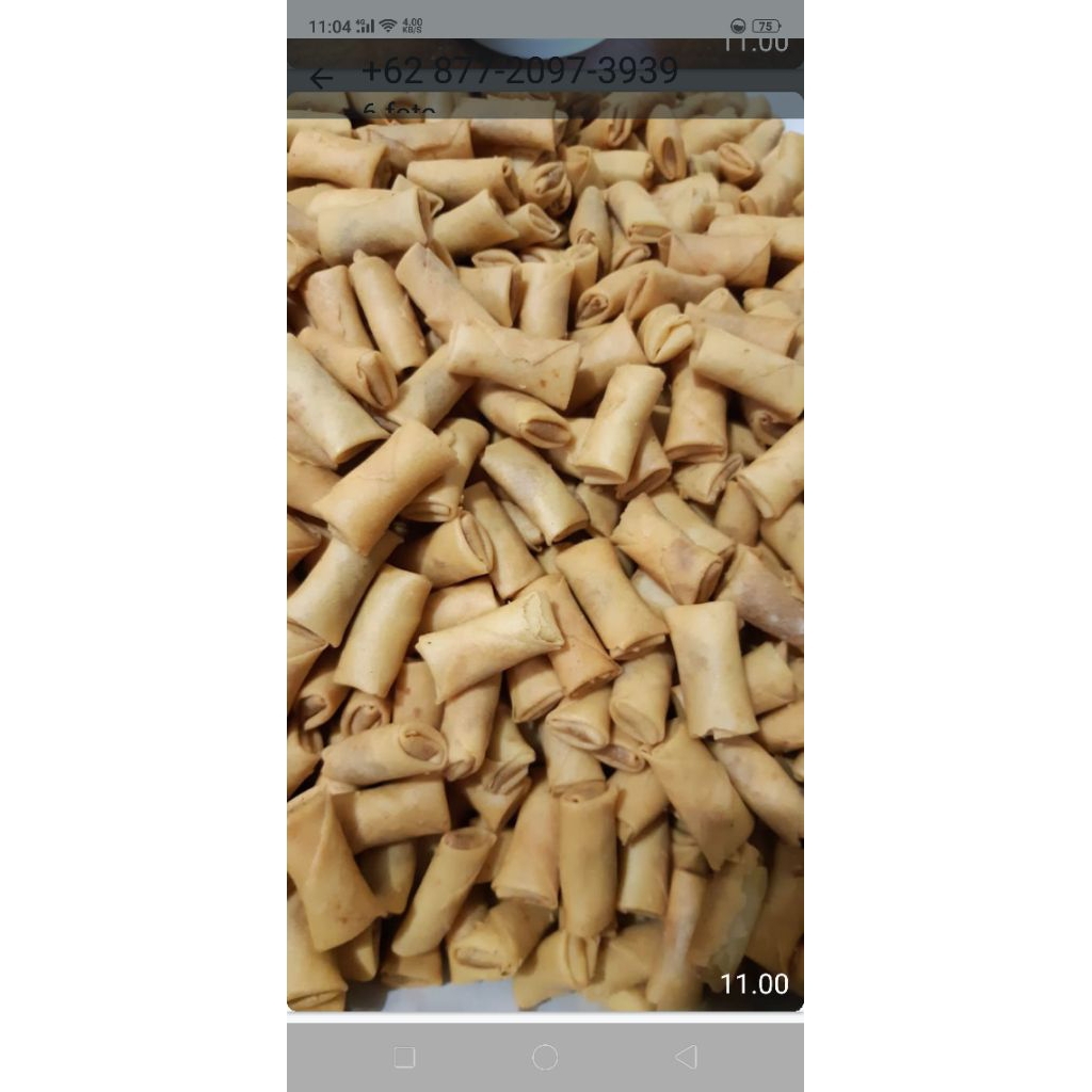 

SpringrollebimerkSarikaya