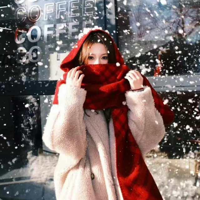 Luxury Wool Shawl with Hoodie #1524