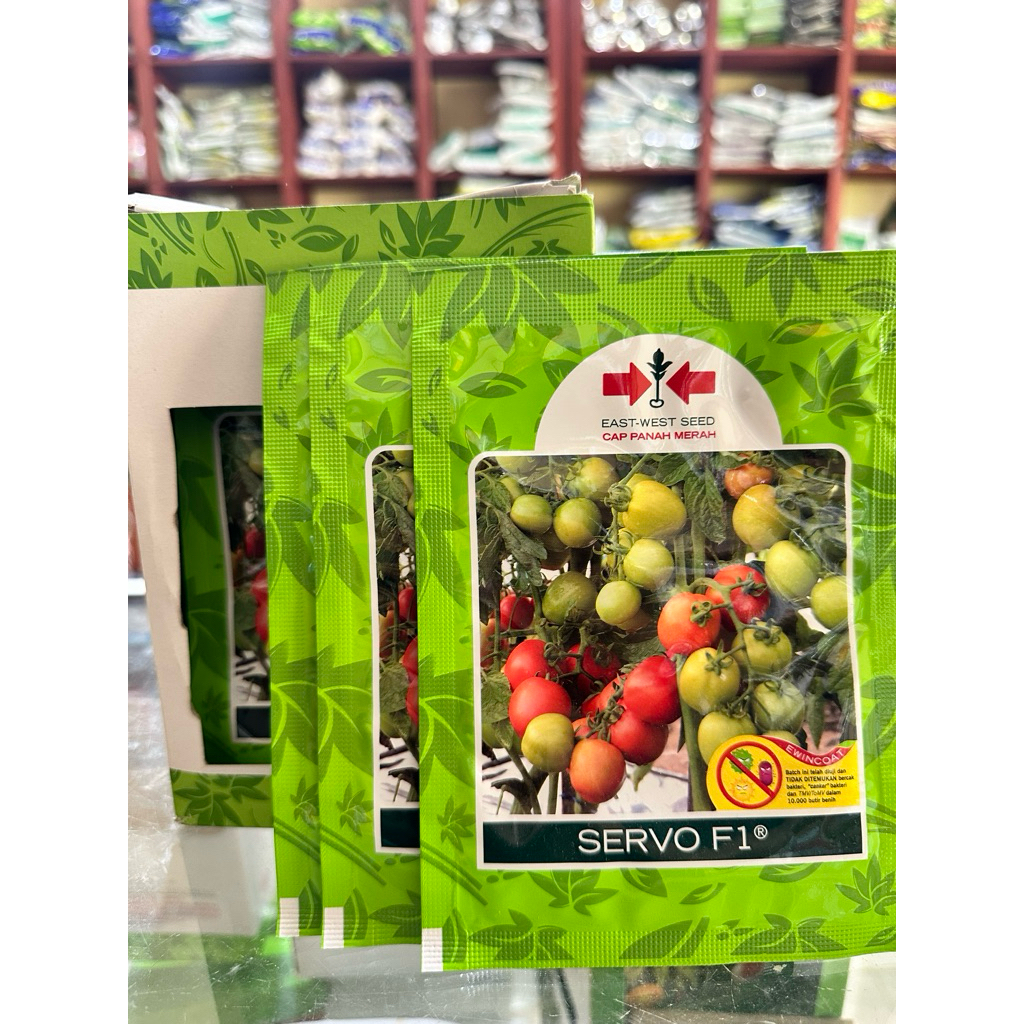 BENIH TOMAT SERVO F1 1750 butir / BIBIT TOMAT SERVO f1