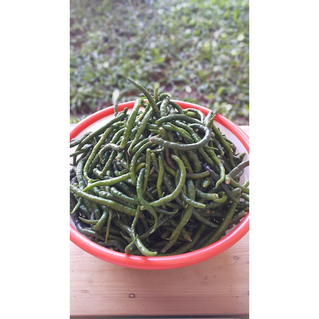 

Cabe Hijau Keriting Segar | 250g - 2kg