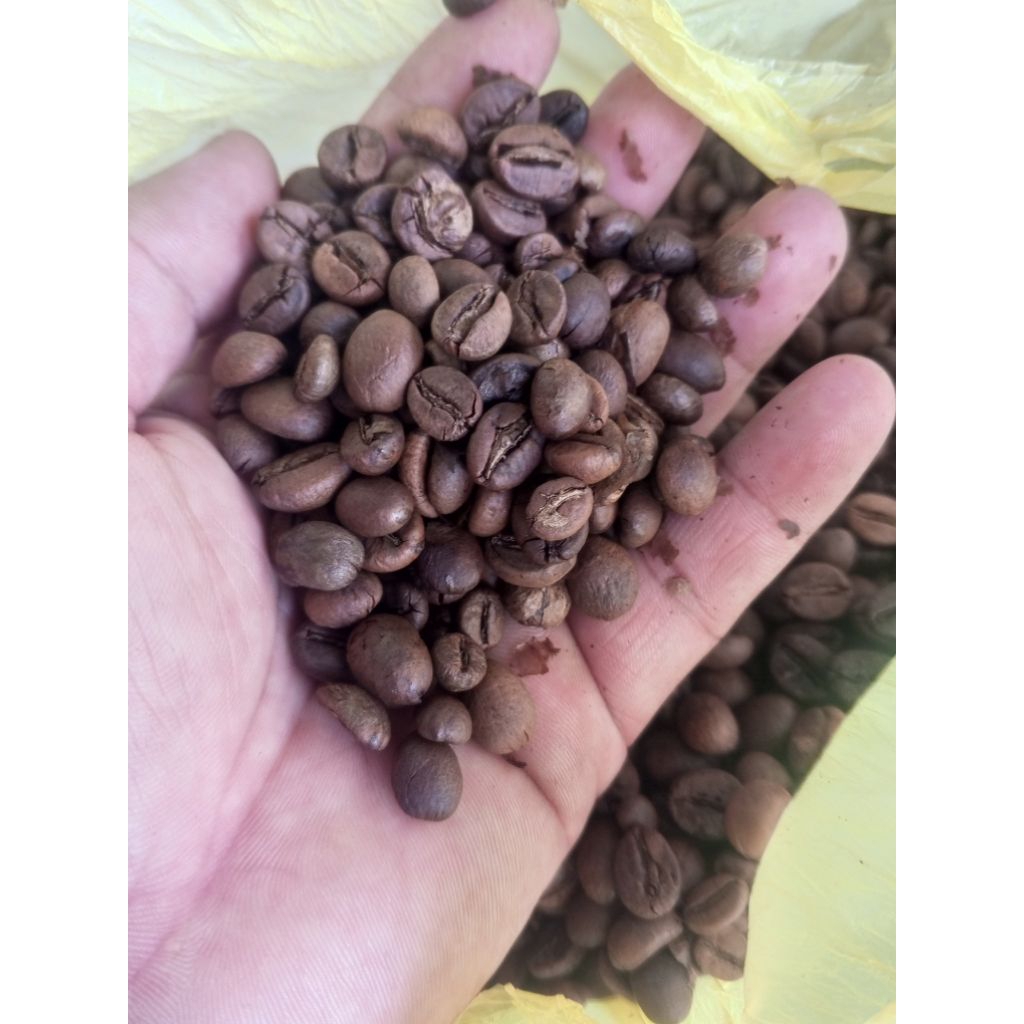 

Promo Kopi Bubuk Robusta Muria Asli